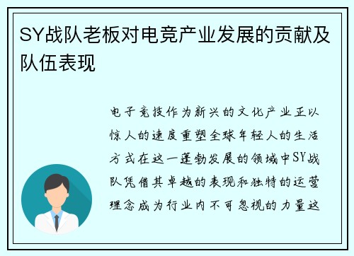 SY战队老板对电竞产业发展的贡献及队伍表现